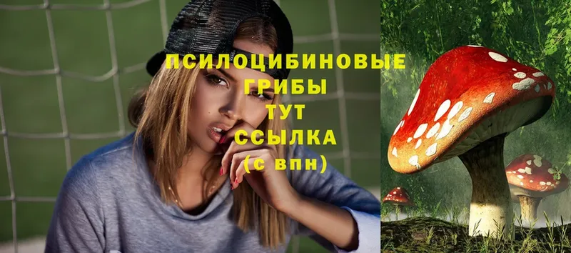 Галлюциногенные грибы Magic Shrooms  мега ТОР  Иркутск 